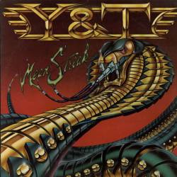 Y And T : Mean Streak